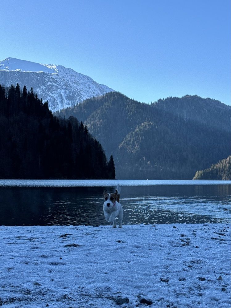 Photograph by Виктория Баева