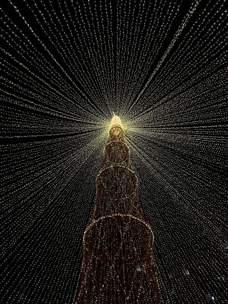 Photograph by Кристина Сидорова