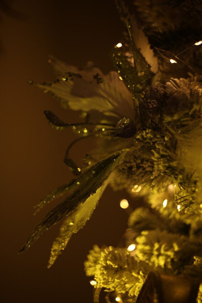 Photograph by Денис Есаков