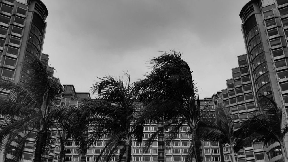 Photograph by Кристина Мишина