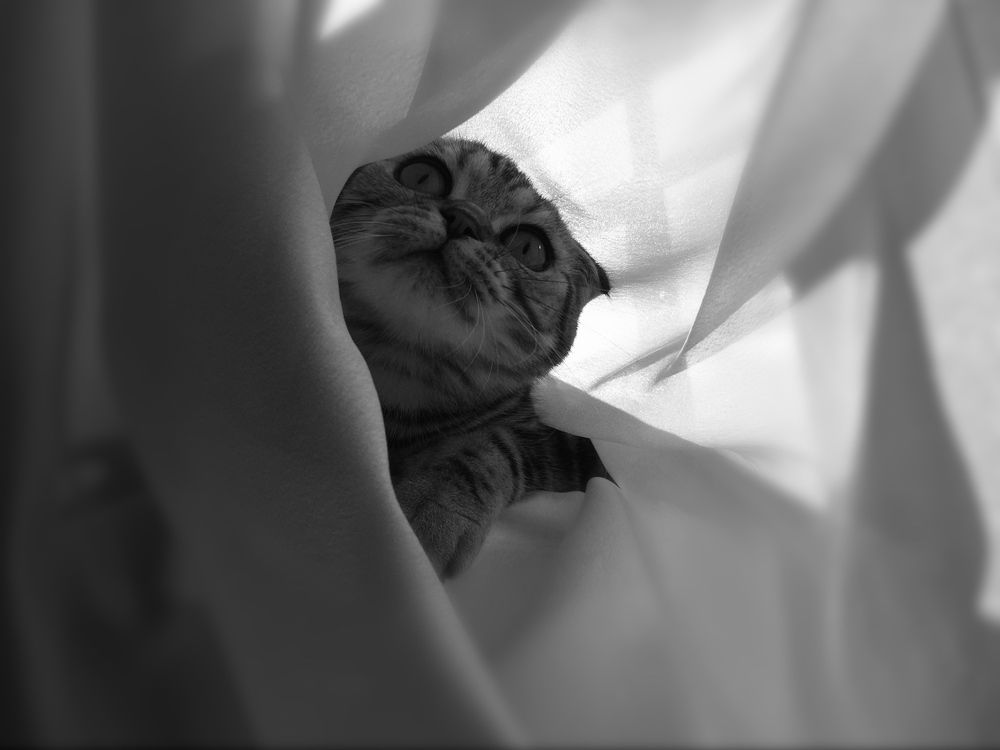 Photograph by Кристина Мишина