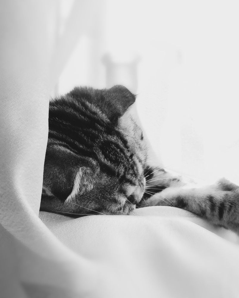 Photograph by Кристина Мишина