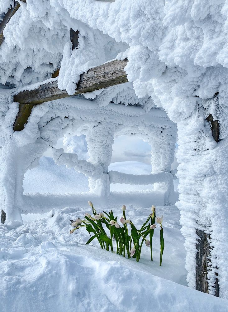 Photograph by Екатерина Исаева