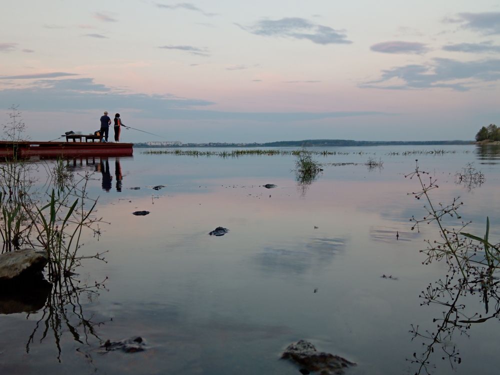 Photo #11579302