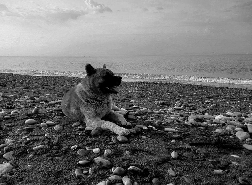 Photograph by Елена Кузнецова