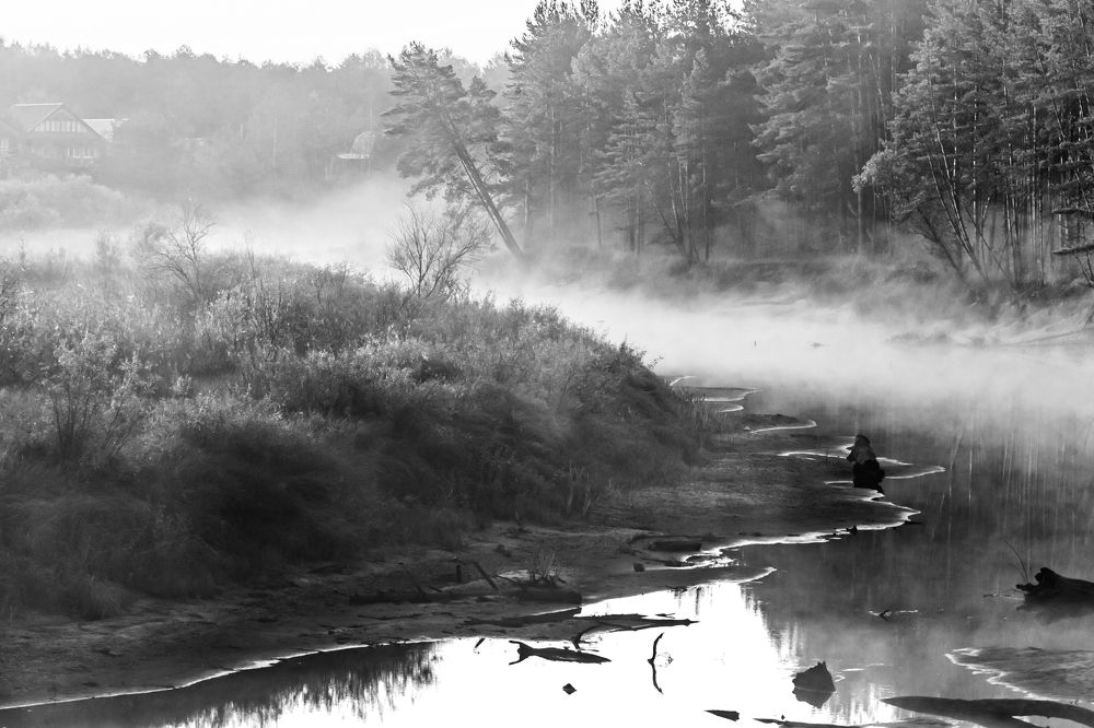Излучина в тумане