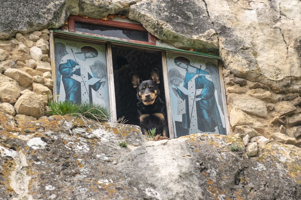 Photograph by Алексей Мордвишин