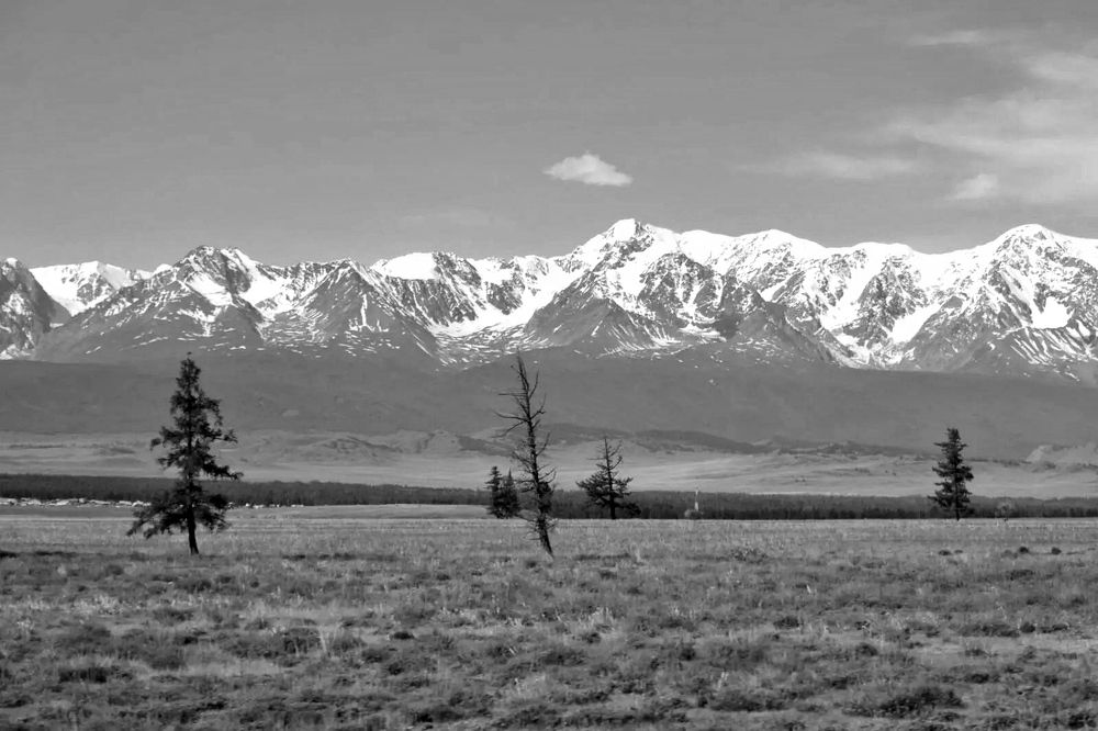 Photograph by Татьяна Кужлекова