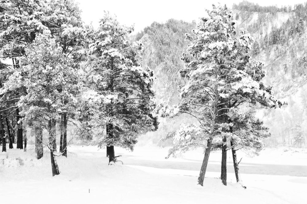 Photograph by Татьяна Кужлекова