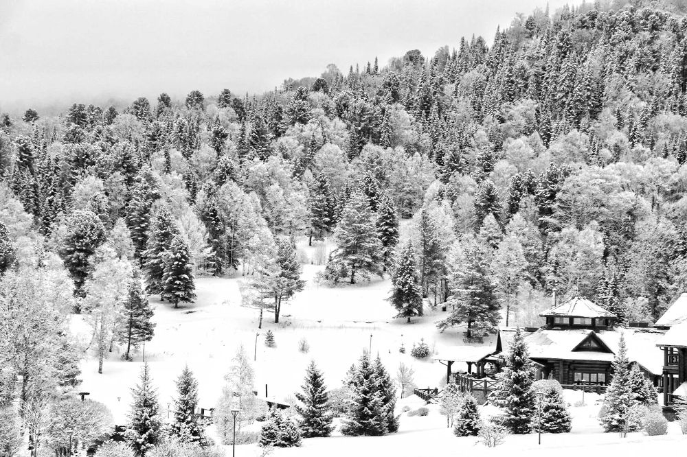 Photograph by Татьяна Кужлекова