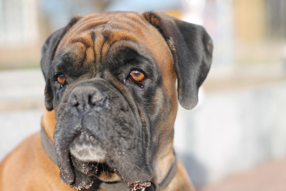 Photograph by Олег Филиппов