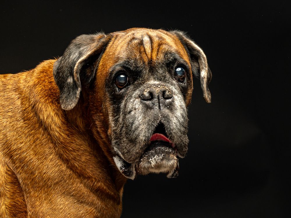 Photograph by Слави Котаров