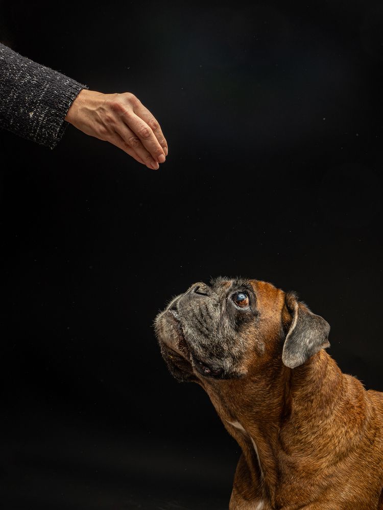 Photograph by Слави Котаров