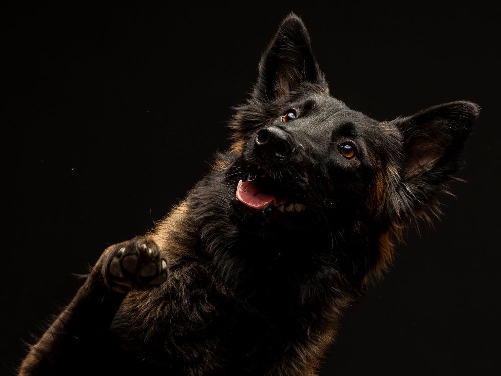 Фотография автора Слави Котаров