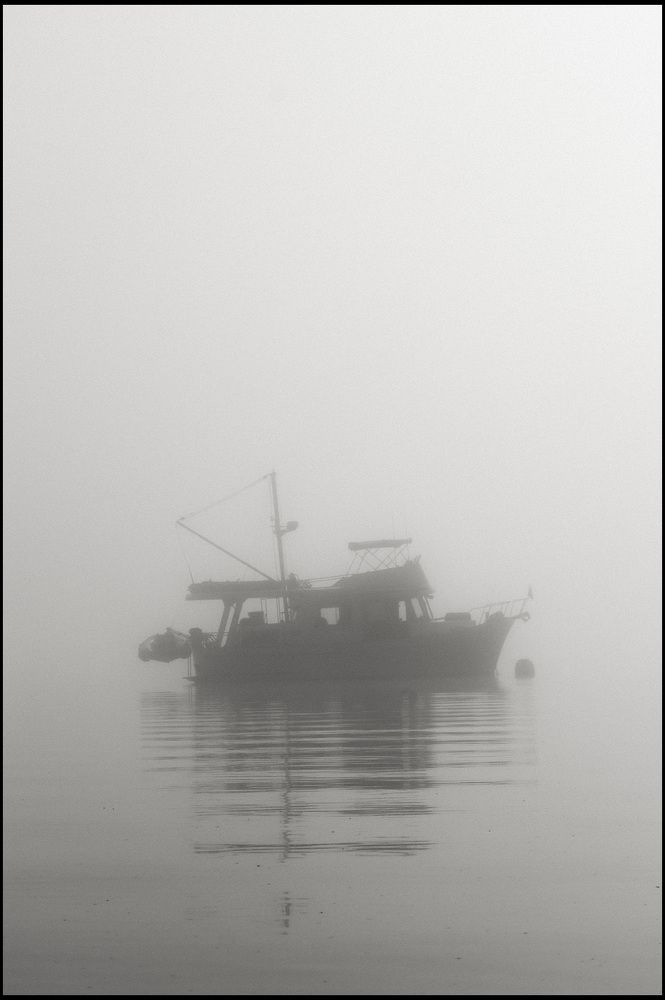 Fog