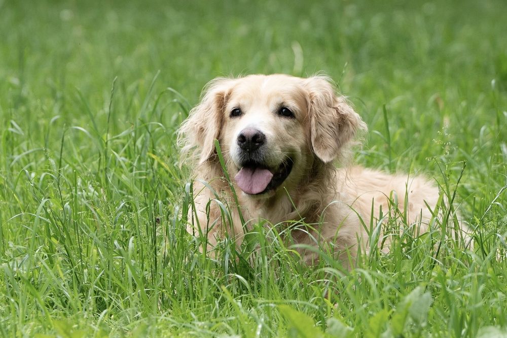 Photograph by Олеся Легостаева