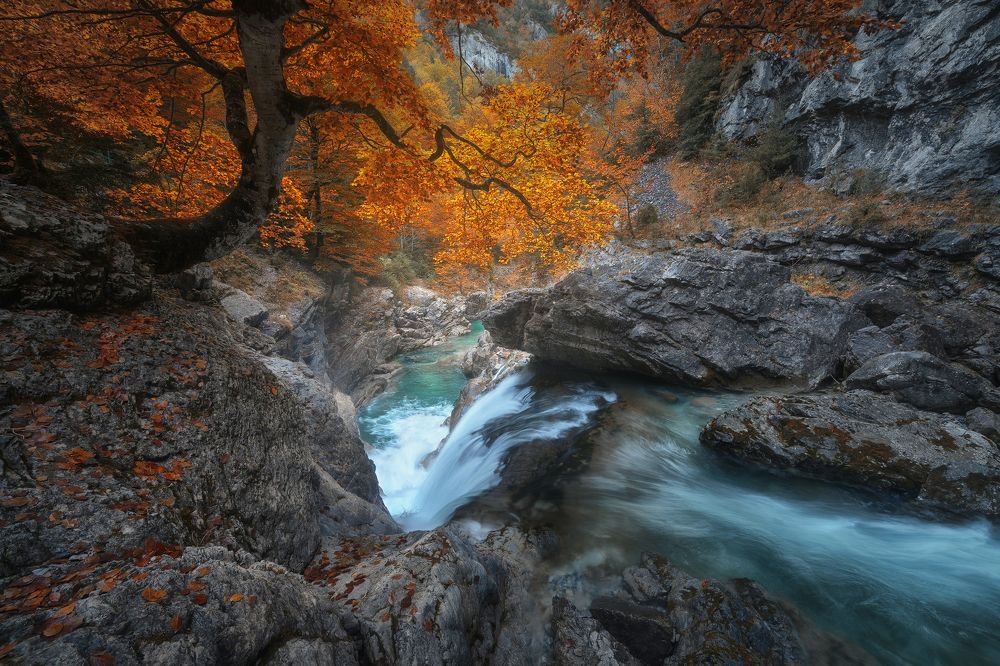 Фотография автора Javier Enjuto Garcia