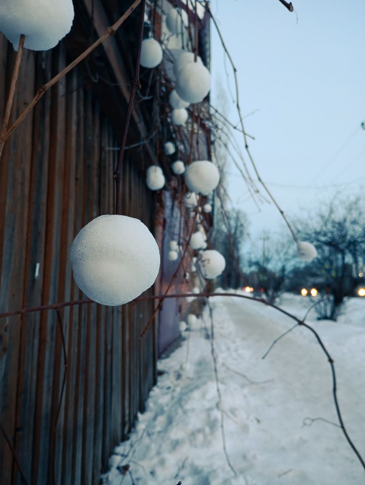 Photograph by Александр Новокрещенов