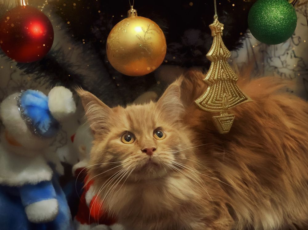 Photograph by Marina Ivanova