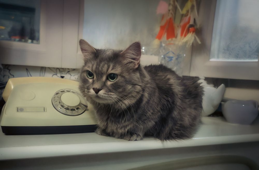 Photograph by Marina Ivanova