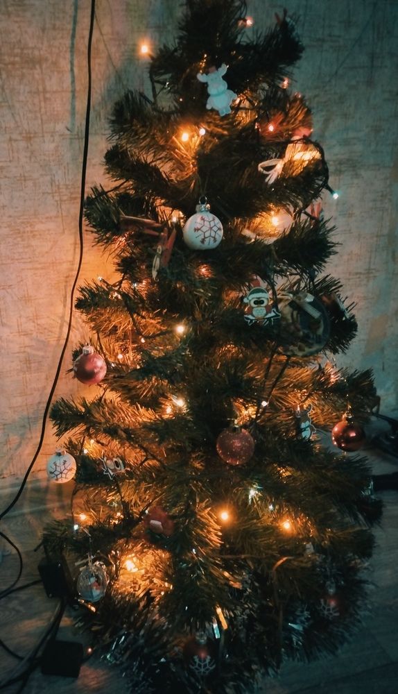 Photograph by Olga Александрова