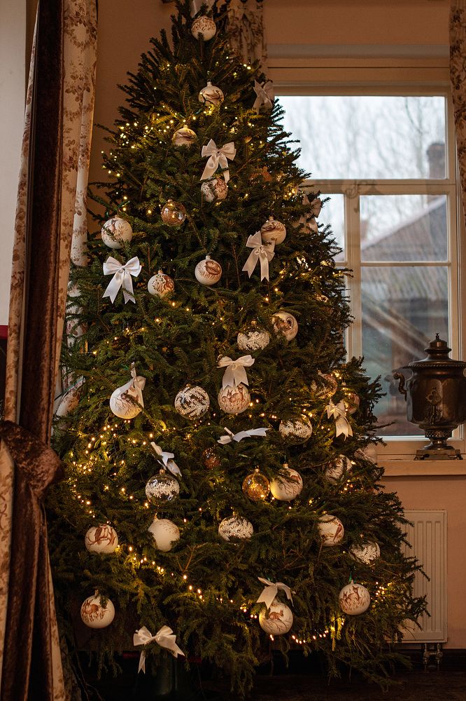 Фотография автора Светлана Дроголюбова