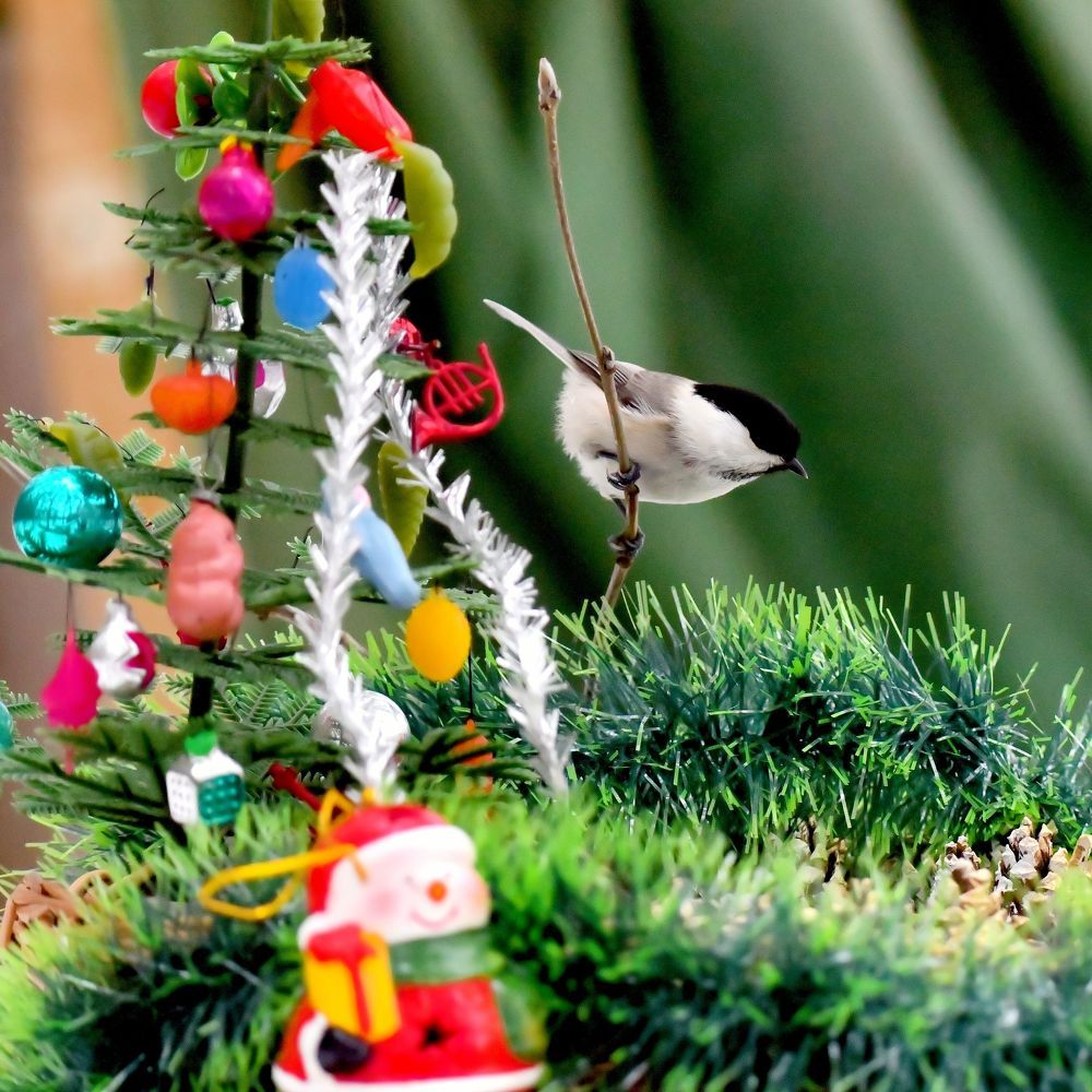 Photograph by Николай Абакумов