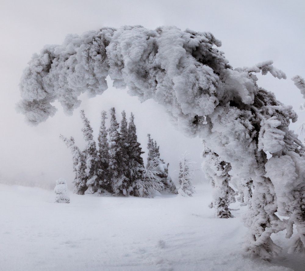 Photograph by Коровин Кирилл