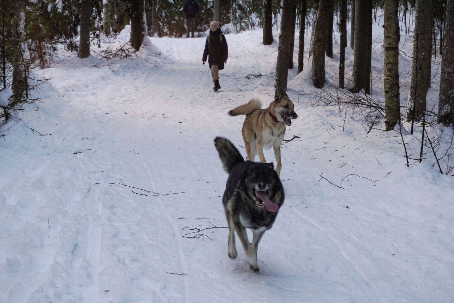 Photo #11579674