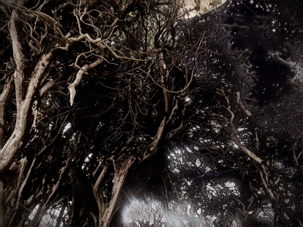 Photograph by Hari krishnajanardhana