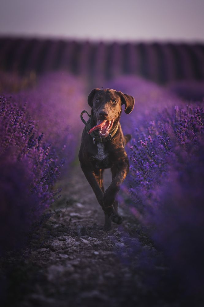 Photograph by Дмитров Андрей