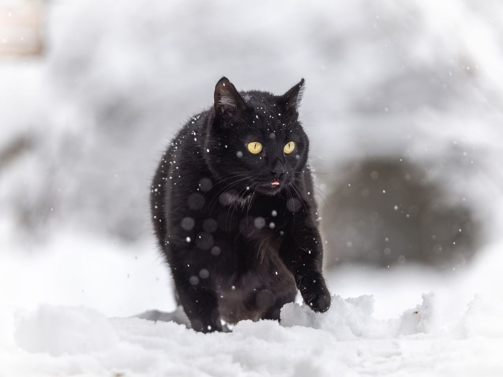 Photograph by Хабаров Сергей