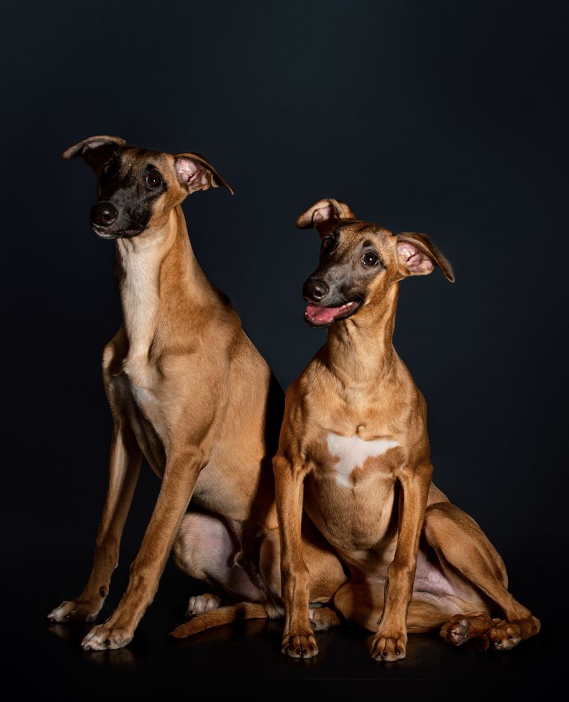 Photograph by Людмила Бандурина