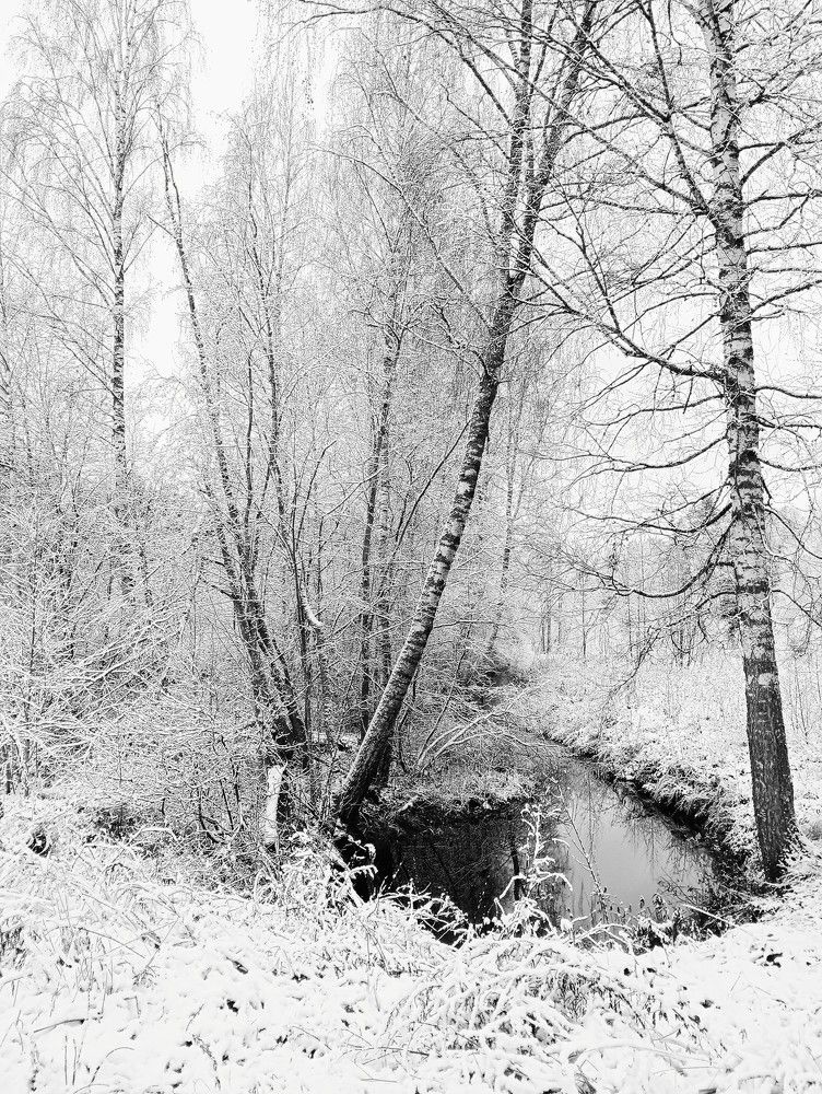 Photograph by Мария
