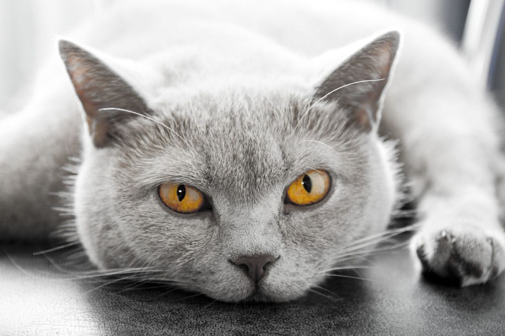 Photograph by Олег Дорошенко