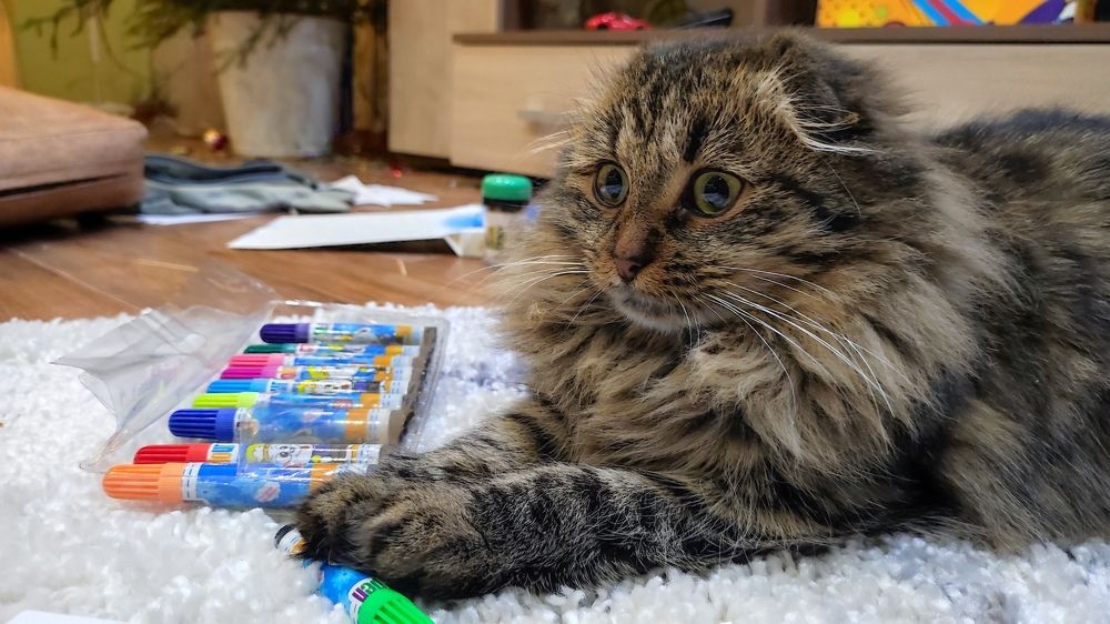 Photograph by Марина Артемьева