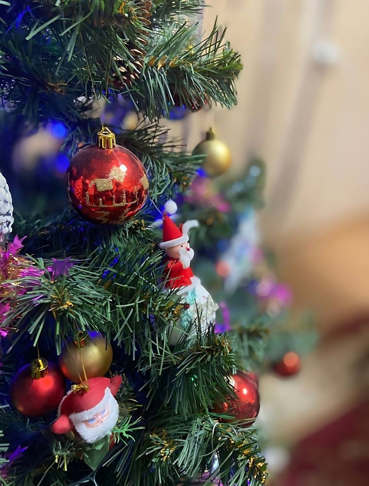 Фотография автора Татьяна Савранчук