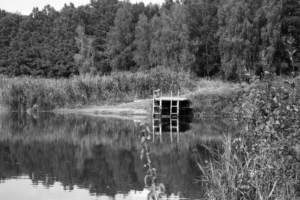 Photograph by Инна Воробьева