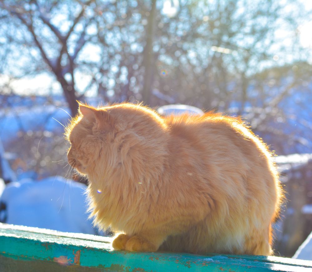 Photograph by Виолетта Клюева