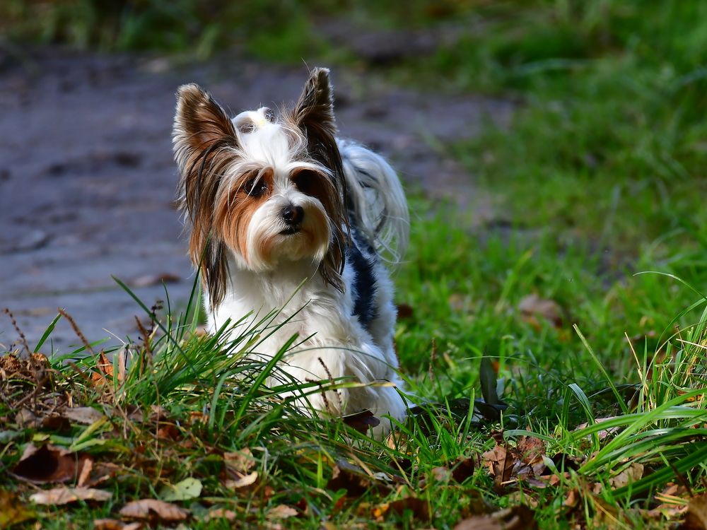 Photograph by Николай Абакумов