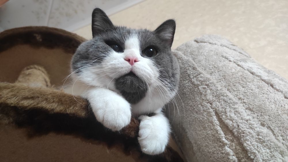 Photograph by Виолетта Клюева