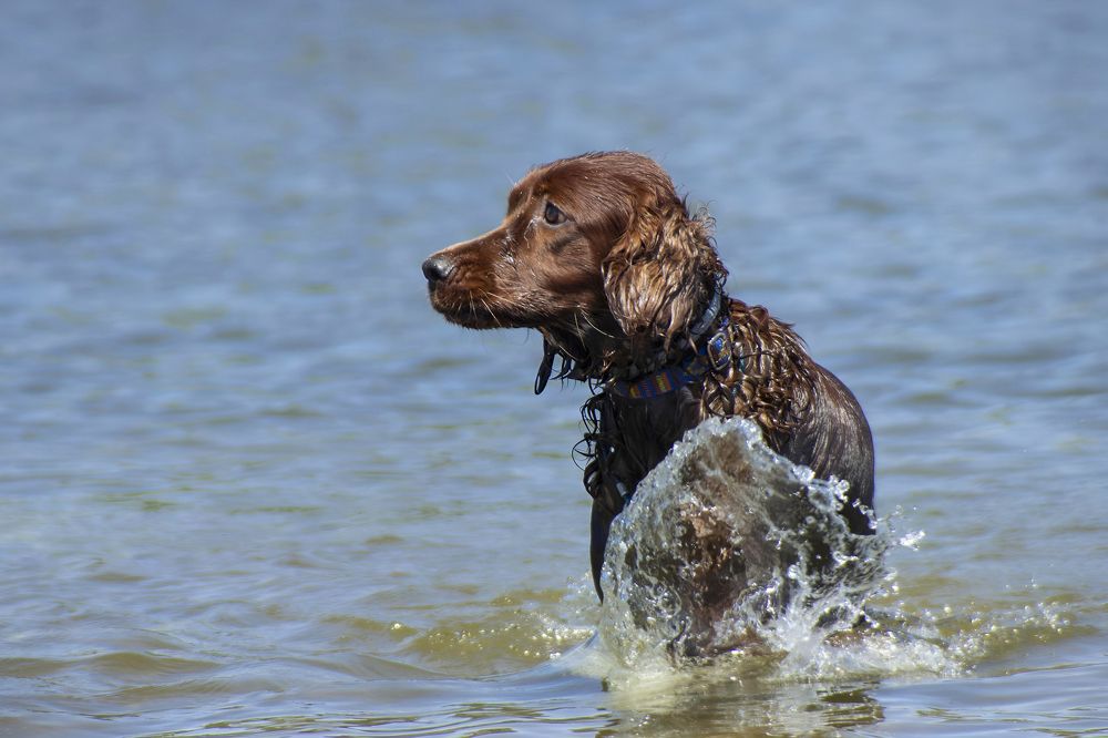 Photograph by Ирина Шибитова