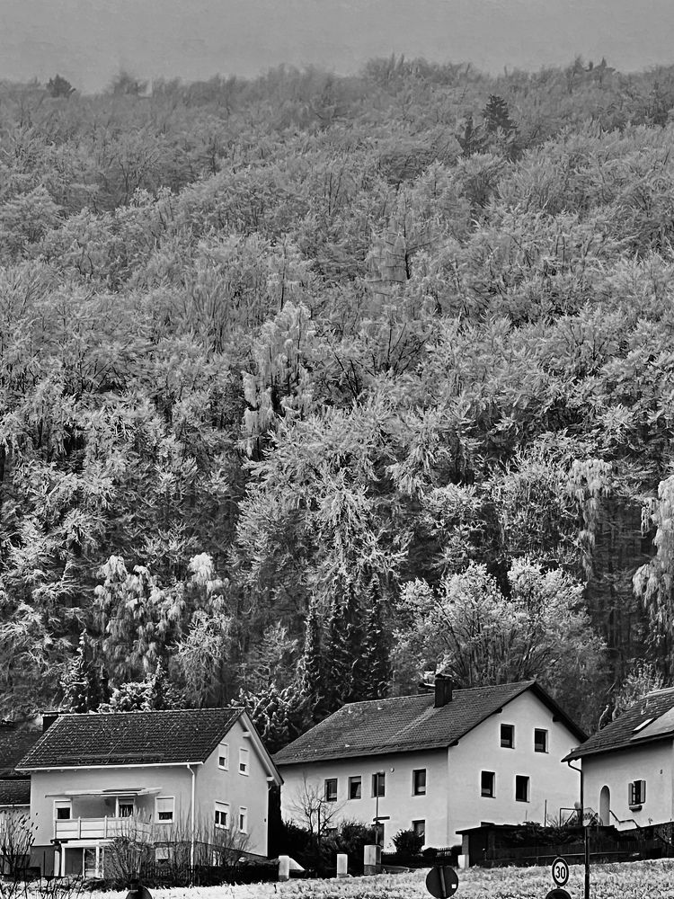 Photograph by Eugenia Schmidt