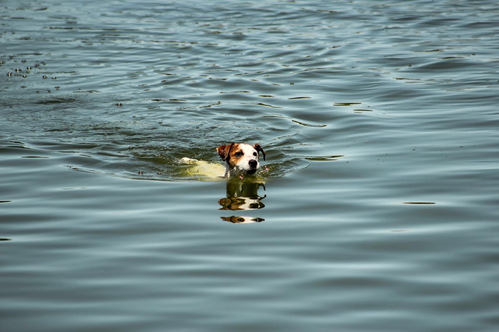 Photograph by Ирина Шибитова