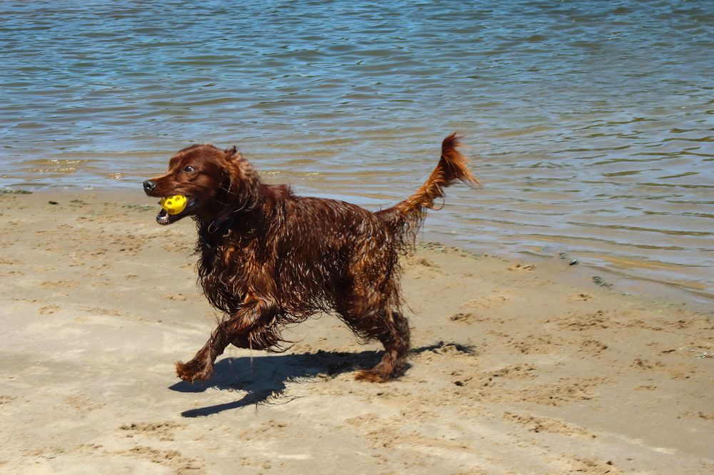 Photograph by Ирина Шибитова