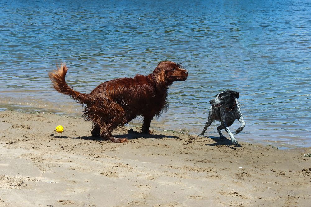 Photograph by Ирина Шибитова