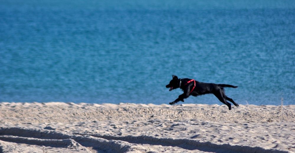 Photograph by Stoyan Baev