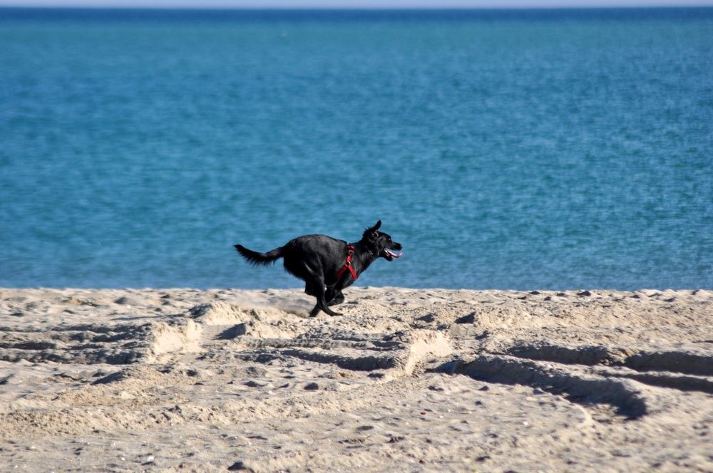 Photograph by Stoyan Baev