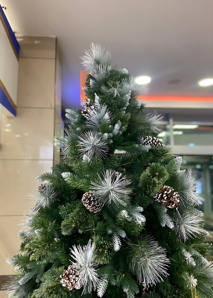 Фотография автора Татьяна Савранчук