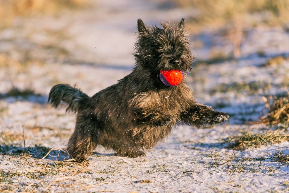 Photograph by Ольга